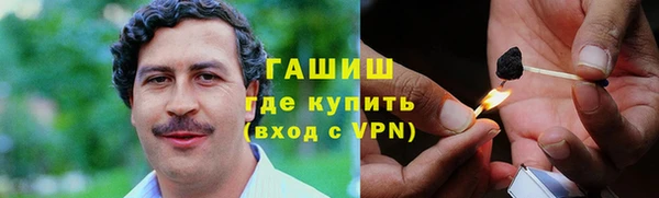 прущие грибы Волоколамск