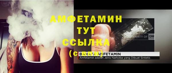 стафф Вяземский