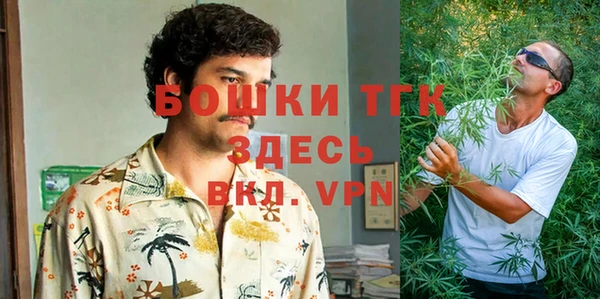 PSILOCYBIN Вязьма