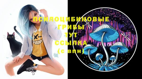 PSILOCYBIN Вязьма