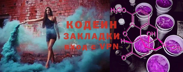 прущие грибы Волоколамск