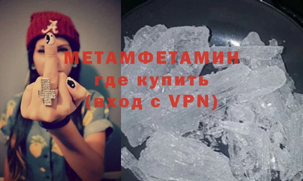 прущие грибы Волоколамск