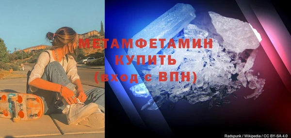 прущие грибы Волоколамск