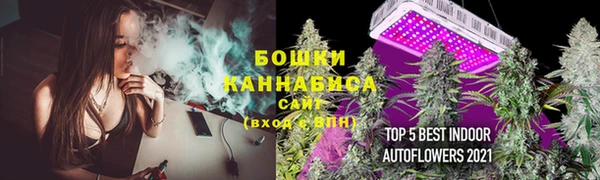 прущие грибы Волоколамск