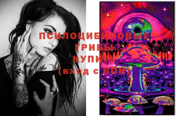 прущие грибы Володарск