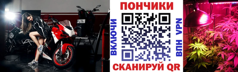 купить цена Зверево Каннабис гибрид